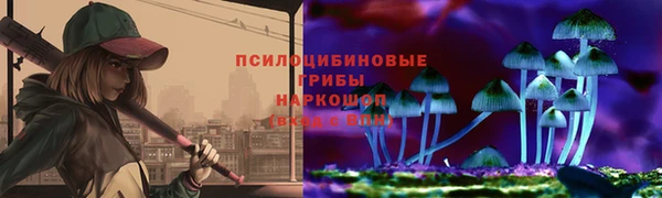 ешки Богородицк